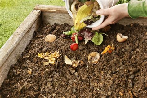 What Can You Compost? | Kellogg Garden Organics™