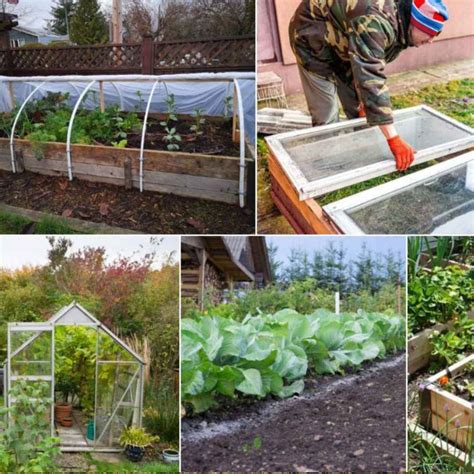 Naturally deter garden pests from organic vegetable beds?