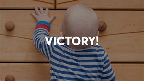 What sturdy, budget-friendly DIY fence ideas protect garden crops from pests?