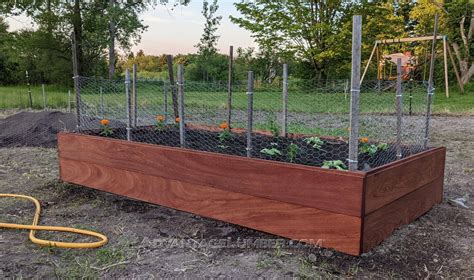 What’s the best rot-proof wood for DIY raised garden beds?