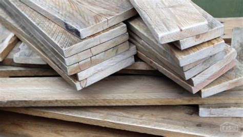 Your Guide to the Most Durable Wood Species for Outdoor Use