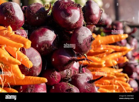 A diverse selection of freshly harvested root vegetables meticulously ...