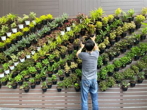Beginner's Guide: Creating Stunning DIY Vertical Gardens