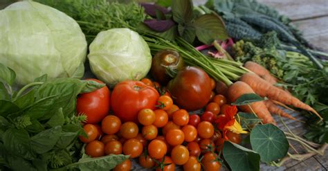 Keeping Your Harvest Fresh | Phipps Conservatory and Botanical Gardens ...