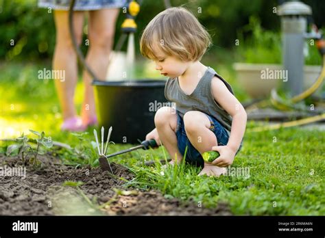 Cute toddler boy helping in the garden on sunny summer day. Child ...