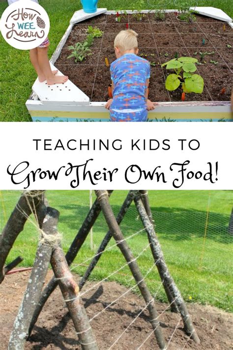 How to involve young kids daily in real food prep & garden chores without meltdowns?