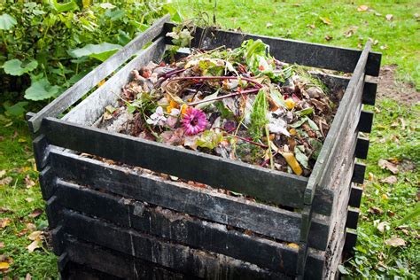 Compost | Description, Composition, &amp; Process | Britannica