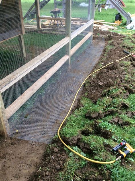Chicken Coop Hardware Cloth to the Ground and Below - Cliff Dutton ...