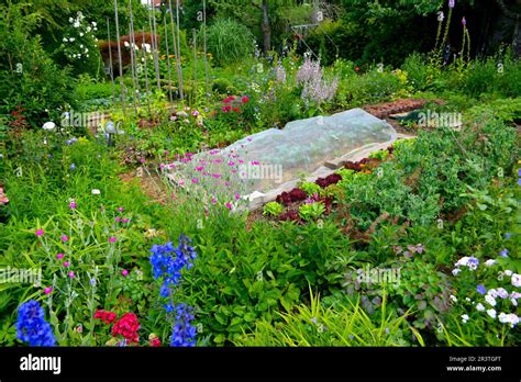 Vegetable garden with cold frame, cottage garden Stock Photo - Alamy