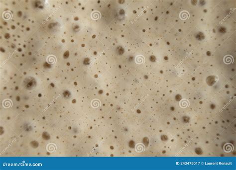 Active and Bubbly Sourdough Starter Stock Image - Image of bubble ...