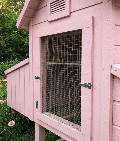 How To Build A Predator-Proof Chicken Coop? - A Complete Guide