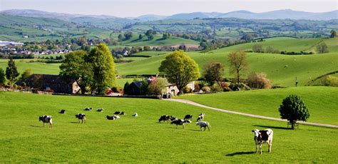 Llega la Red de ayuntamientos rurales emprendedores | Emprendedores ...