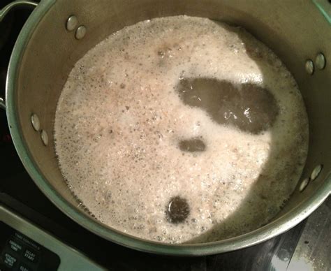 Incredibly Healthful Chicken or Turkey Broth (Stock) - Preheat to 350˚