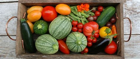 Abundant Harvest - Growing A Greener World