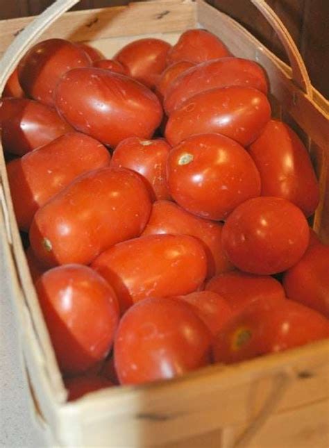 Canning Fresh Tomatoes From the Garden ~ Buonpane Family Recipe