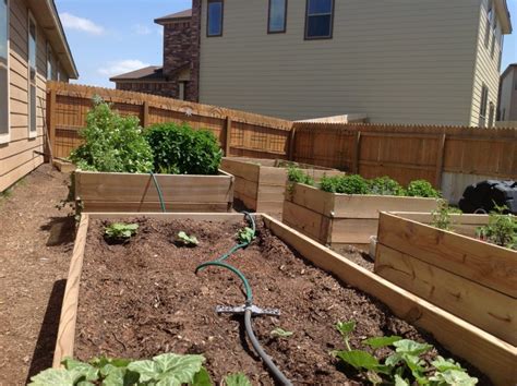 Organic Vegetable Garden Mulches