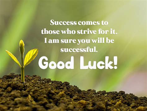 100 Best Wishes and Messages For Success