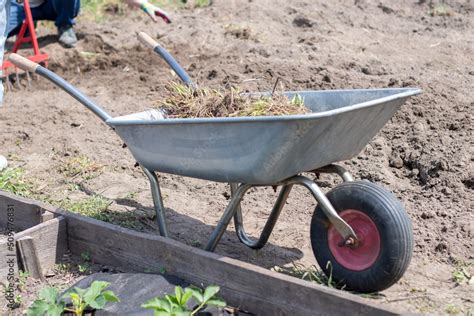 Garden wheelbarrow filled with earth or compost at the farm. Seasonal ...