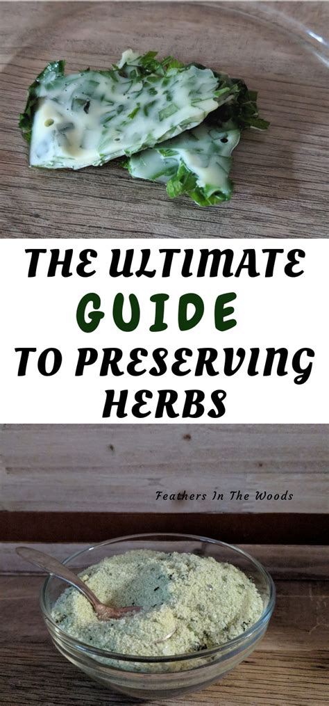 Ultimate guide to preserving herbs - Feathers in the woods