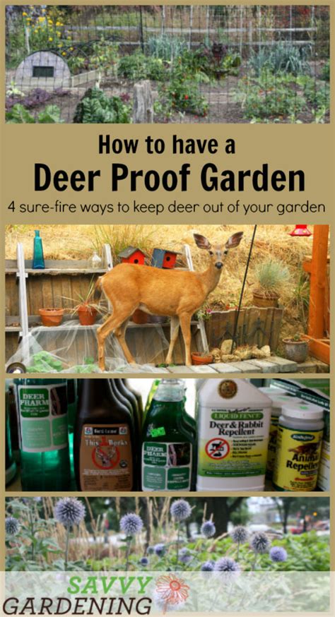 Deer proof gardens: 4 sure-fire ways to keep deer out of your garden