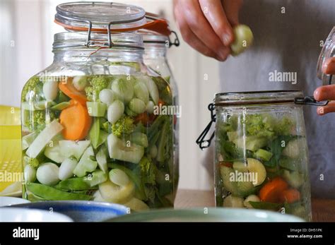 Fermenting vegetables in glass jar Stock Photo - Alamy