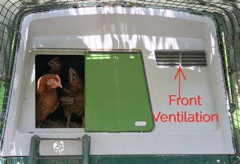 The Omlet chicken coop: what's so special about its design?