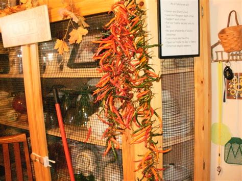 My Real Farm Life: Day 5 - Storing Vegetables in a 