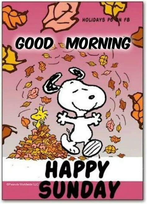 Pin su Funny things | Buona domenica, Domenica