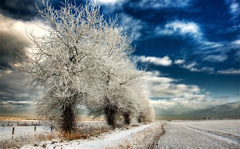 Winter Landscape Wallpaper for Desktop - WallpaperSafari