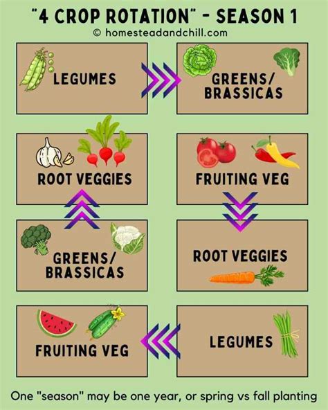 How to Practice Crop Rotation (Benefits Explained) ~ Homestead and Chill