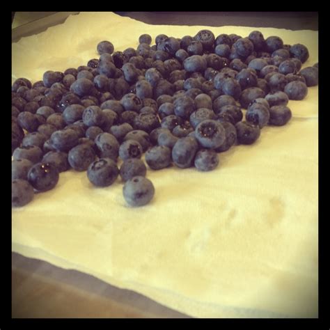 The Farmers Daughter: Freezing Berries Tutorial