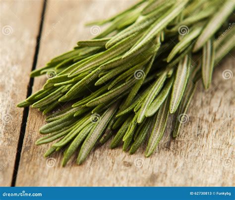 Freshly harvested herbs stock image. Image of leaf, kitchen - 62730813