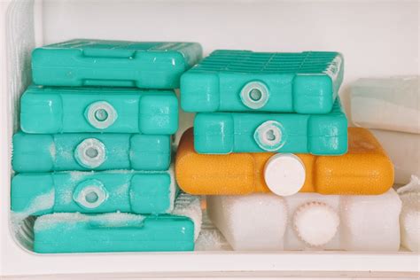 11 BEST Ice Packs For Coolers [2025]: Ice &amp; Gel Packs