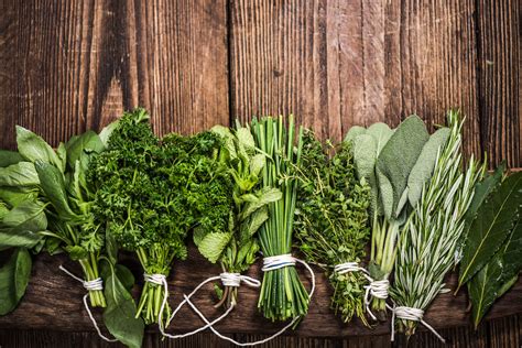 Cooking 101: The 15 Most Common Culinary Herbs and How to Cook With ...