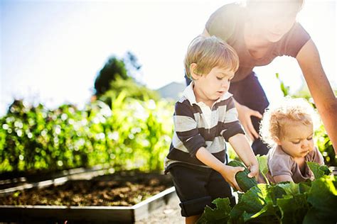 28,000+ Children Growing Vegetables Stock Photos, Pictures & Royalty ...