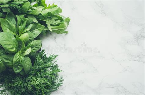 Freshly harvested herbs stock image. Image of garden - 140522039