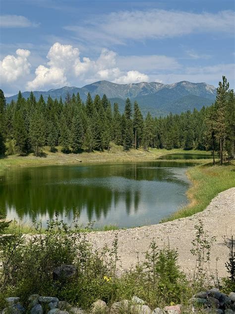 How to naturally improve clay soil for backyard veggies?