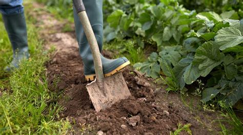 The Perfect Time To Dig Your Garden And Why! - Simplify Gardening