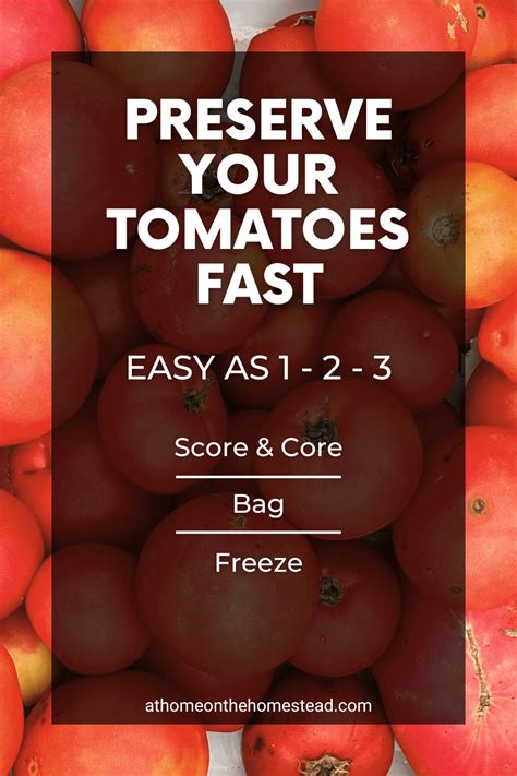 Easiest ways to preserve a glut of summer garden tomatoes for winter meals?