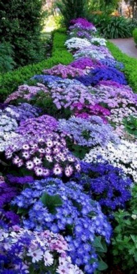 Low-maintenance perennials | Beautiful flowers garden, Plants, Front ...