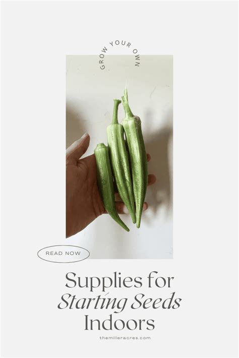 Seed Starting Supplies for Beginners - The Miller Acres