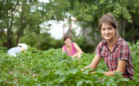 Where Have All the Womyn Farmers Gone? - Modern Farmer
