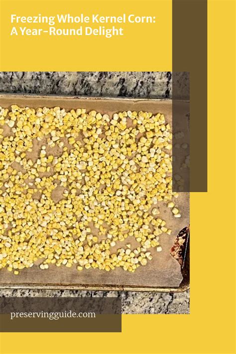 Blanching Fruits and Vegetables for Freezing