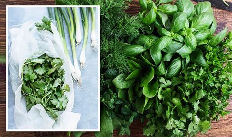 How to keep garden herbs fresh longer after harvesting?