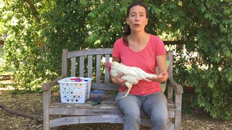 Chicken health check