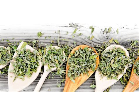 What To Make With Dried Herbs at Carla Schell blog