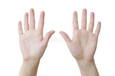 Two female hands, palms up stock photo. Image of hands - 55766616