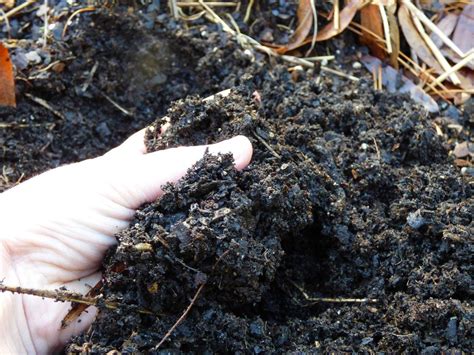 Compost Maturity Test – How To Tell When Compost Is Ready For Use