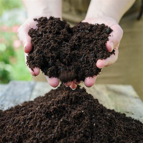 Biochar Compost - Made in Britain
