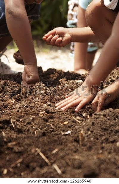 Young Children Planting Seeds Garden Stock Photo (Edit Now) 126265940